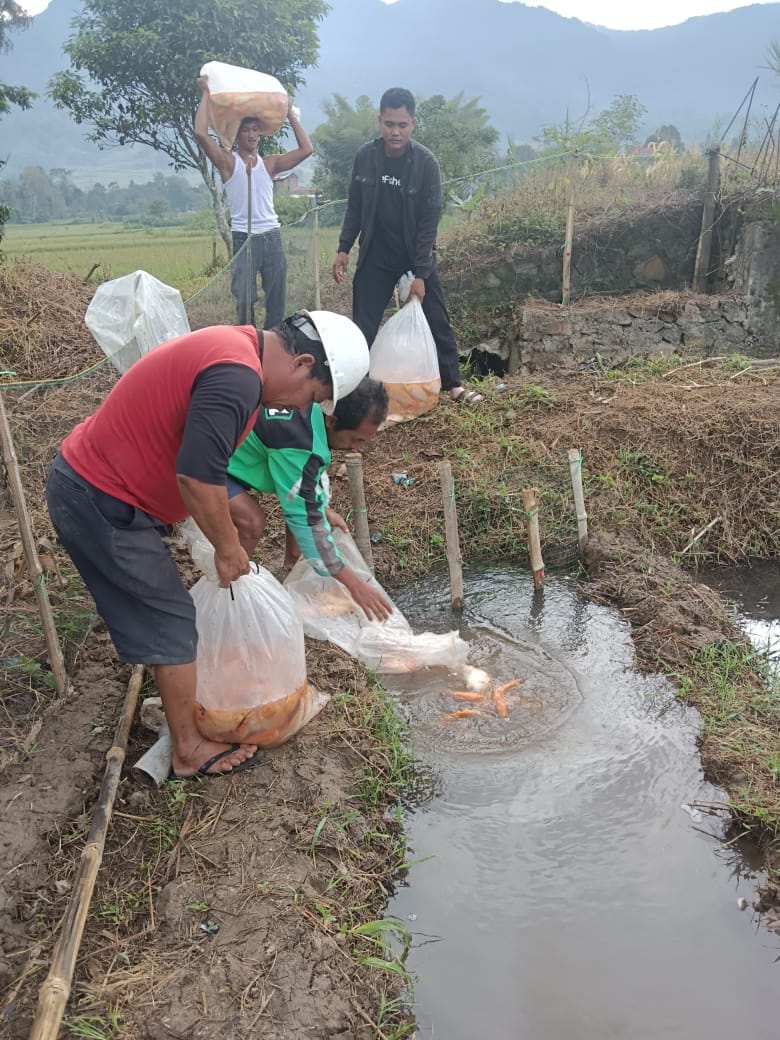 Formasi Kembali Tabur 10.000 Benih Ikan di Hutagurgur I.