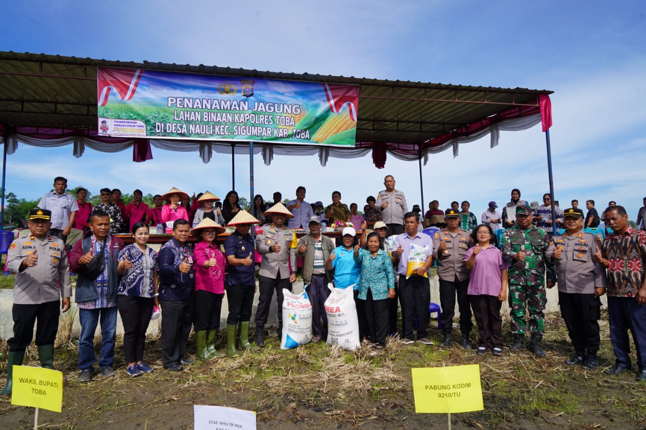 Poktan Binaan Kapolres Toba Tanam Jagung, Wakil Bupati Sampaikan Terima kasih